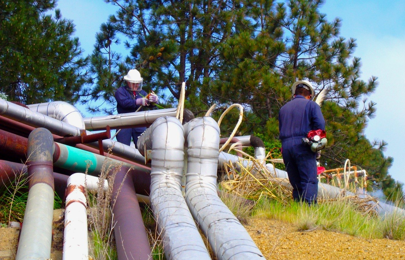 Vegetation management around industrial infrastructure